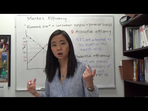 Video: Resulteert het marktsysteem in productieve efficiëntie?