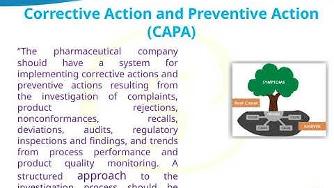 #110 SIPHACOS Quality by Culture