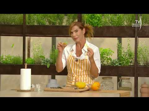 pt19 butterfly trick 5015056
