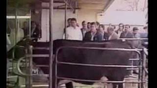 Model Livestock Farm Punjab Pakistan part-1 Dr.Ashraf Sahibzada