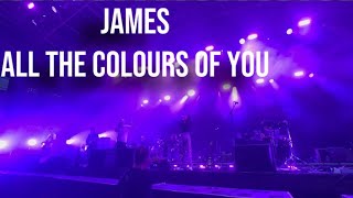 Colors Live - Malbear by jmaes