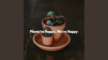 Bright Backdrops for Atmospheric After Hours