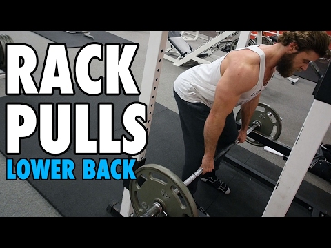 Best Upper Trap Exercises, Upper Traps Workout