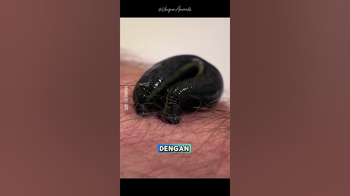 How Leeches Suck Blood