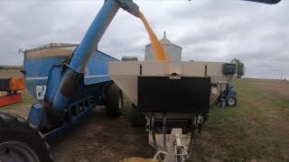 Start of 2021 Corn Harvest