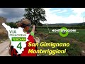 Via Francigena Toscana | 4. Da San Gimignano a Monteriggioni