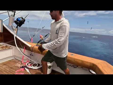 Builder’s Choice Wins Final Leg of 2024 Bermuda Triple Crown; Viking 82 Crowned Series Champion