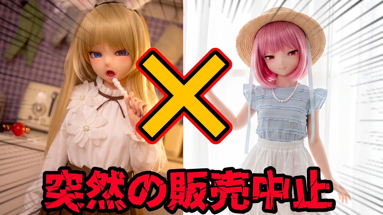【悲報】なぜ人気はあったのに売れなかった?Yearndollが終わった原因を考察 #ドール