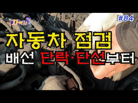 차박사TV_84회 자동차 점검, 배선 단락.단선부터! Vehicle inspection : starting from wiring short circuit, wiring break.