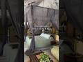 🇿🇦Luxury glamping safari camp at Thorny Bush, Kruger National Park, South Africa 2023 🦁⛺️
