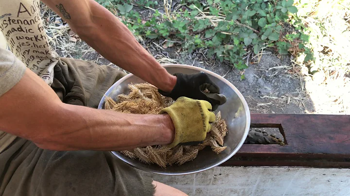 Shepherd foraging and felting 4k