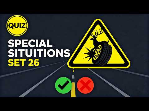 German Driving License Theory Exam — Set 26 | Questions & Answers
