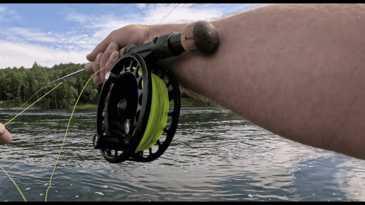 1 uke med enhåndsfiske i Målselvfossen og Dividalen – juli 2025