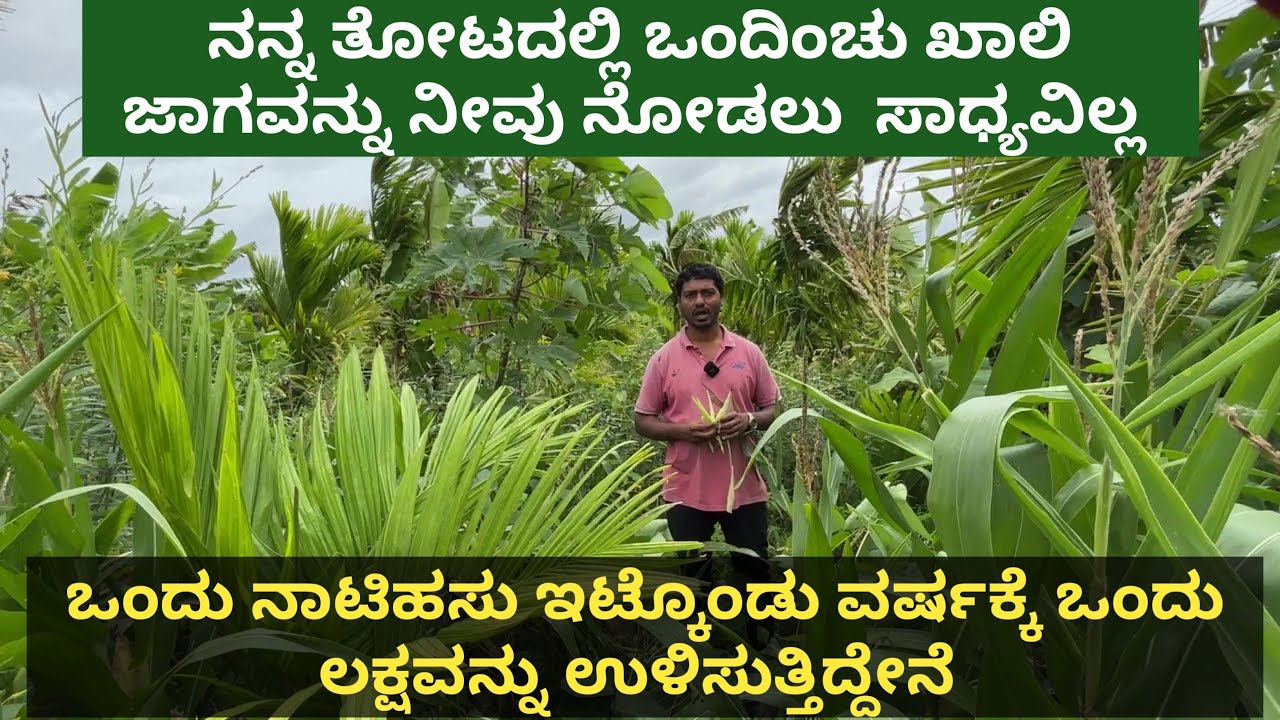 ಒಂದು ಎಕರೆ ಜಾಗದಲ್ಲಿ ಒಂದಿಂಚು ಕೂಡ ಕಣ್ಣಿಗೆ ಕಾಣದಂತೆ ಭೂಮಿಯಲ್ಲಿ ಹಸಿರನ್ನ ಬೆಳೆಸಿದ್ದಾರೆ ಇದಕ್ಕೆ ಕಾರಣ ನಿಮಗೆ ಗೊತ್