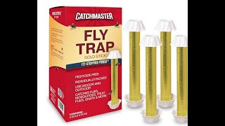 CatchMaster Gold Stick #catchmaster #goldstick #flytrap #review