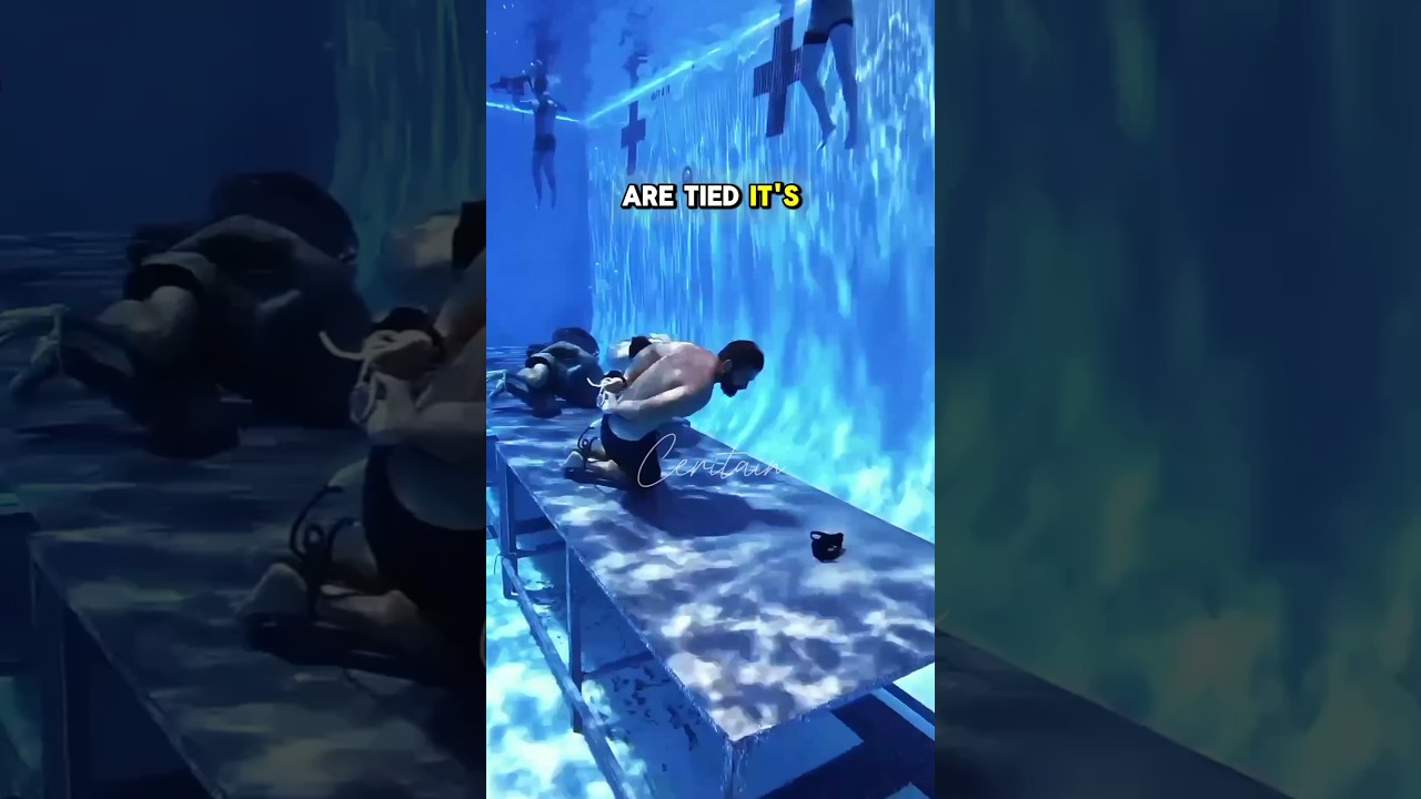 Underwater Military Training FunFacts 