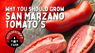 Why You Should Add San Marzano Tomato To Your Garden For Heavy Fruit Production! (For The Pantry)