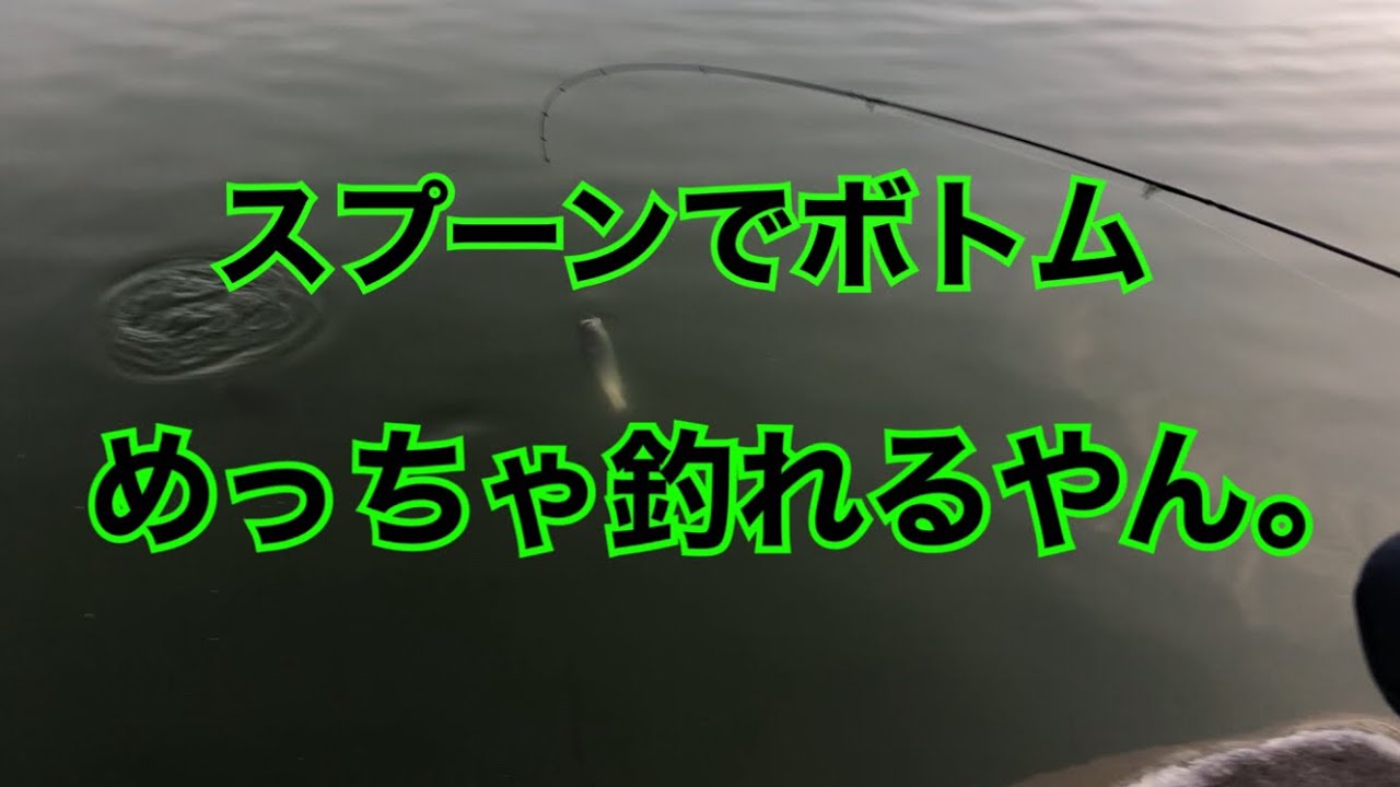 管理釣り場でスプーンを使って簡単ボトム攻略！【エリアトラウト】