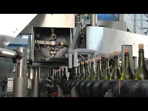 Sparkling Wine Bottle Capping Line • შამპანიურის საცობების დანადგარი