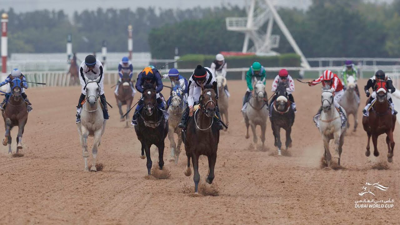 الشوط الأول | دبي كحيلة كلاسيك | كأس دبي العالمي 2024