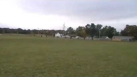 Trex 600 flight, flip, and loop