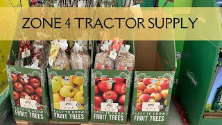 Fruit Plant & Tree Shopping - Tractor Supply Inventory - April 2026 - Zone 4 Backyard Garden Haul