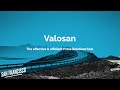 Valosan GMail Extension chrome extension