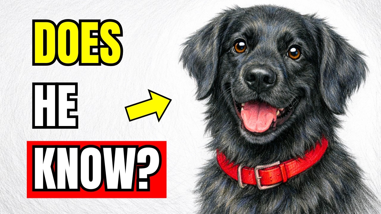 If Your Dog Does THESE Things, He Knows You Love Him