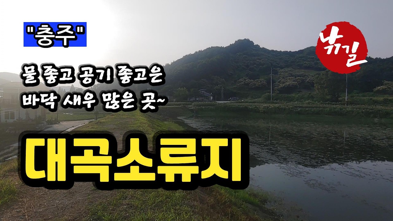 [충주]_ 대곡소류지 / 새우 낚시 입문자 분들께 추천하는 곳!!