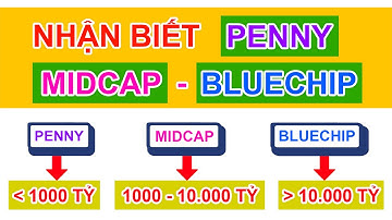 Nhận biết cổ phiếu penny, midcap, bluechip | ĐẦU TƯ CHỨNG KHOÁN