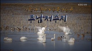 [경남문화 100선] 사람과 철새가 공존하는 곳 - 주남저수지 (2017.11.25,토)