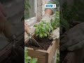 DIY Garden Crafts 🌿 Creative Planter Ideas for Any Space