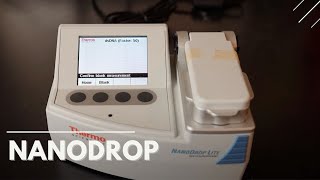Using a Nanodrop