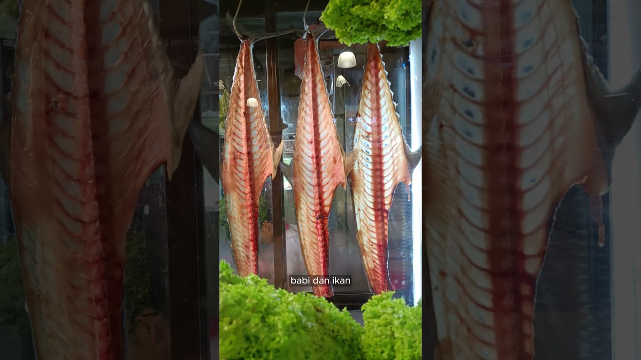 Apa Itu Kolagen? Fakta Menarik yang Perlu Anda Ketahui