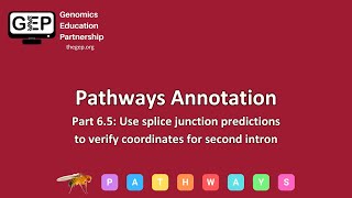 GEP | Pathways Gene Annotation Part 6.5 - Use splice junction predictions to verify coordinates