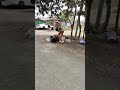 Marafiki Hawakupendi Wamenitoroka Comedy Funny 