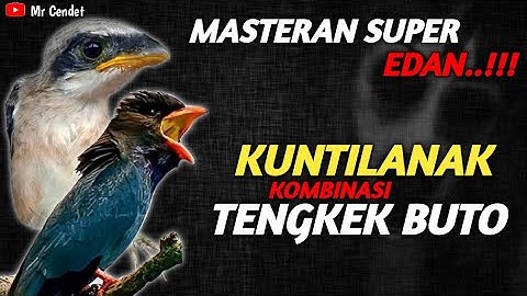 MASTERAN SUPER EDAN..!!! KUNTILANAK KOMBINASI TENGKEK BUTO KASAR !!