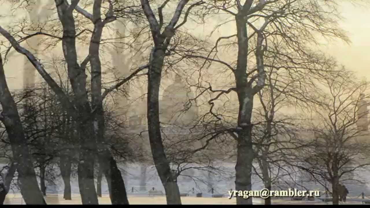 Юрий Башкин Опять зима Петропавловская крепость фото YURY BASHKIN