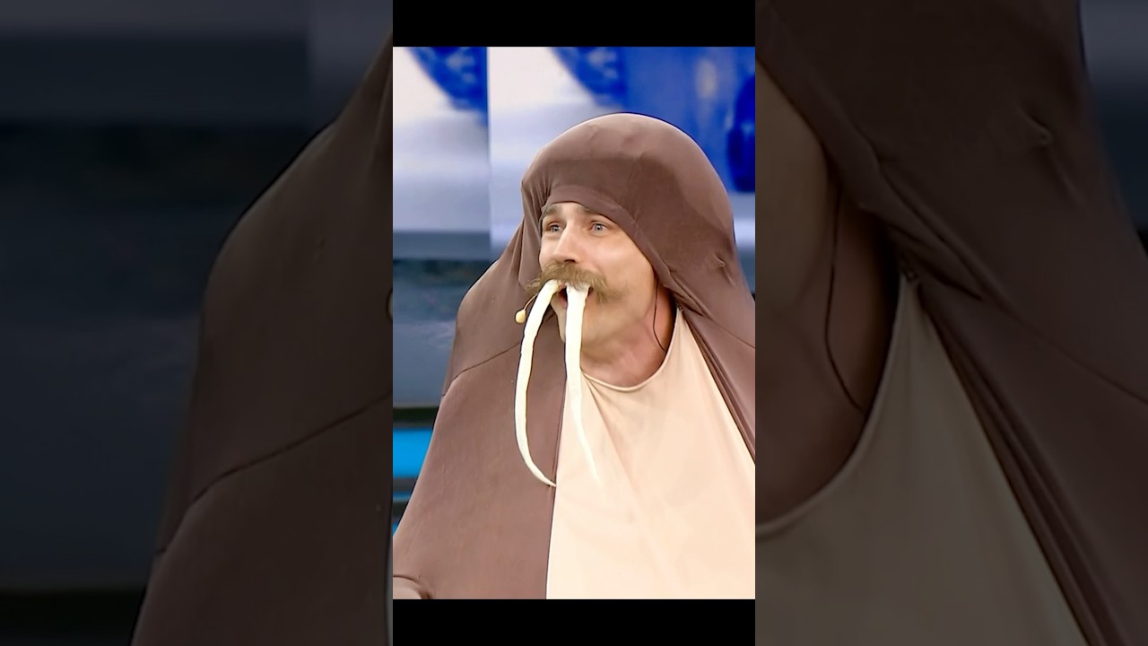 Sethward the Walrus on Live TV