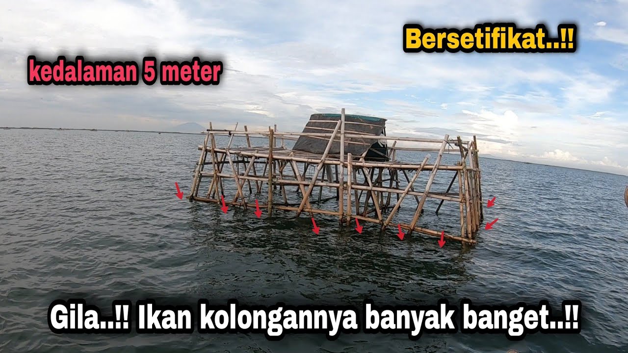 Насладитесь восхитительным результатом приготовления рыбы прямо на месте.