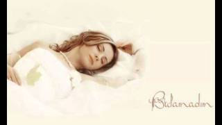 احساس خالد -  lyrics + İbrahim Tatlıses  - Bulamadım