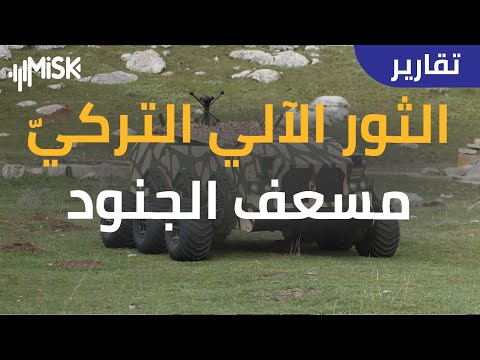 فيديو: ما تبقى من القوة العسكرية السابقة لأوكرانيا