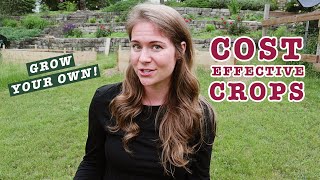 These 5 Crops Can Save You HUNDREDS On Groceries | INFLATIONPROOF Gardening | Great Depression Tips