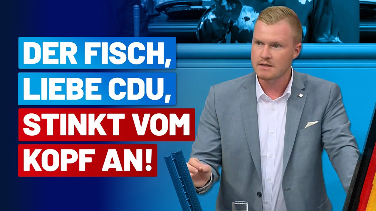 Sie lassen Ihre Kollegen die Finger verbrennen! Robin Jünger - AfD-Fraktion im Bundestag