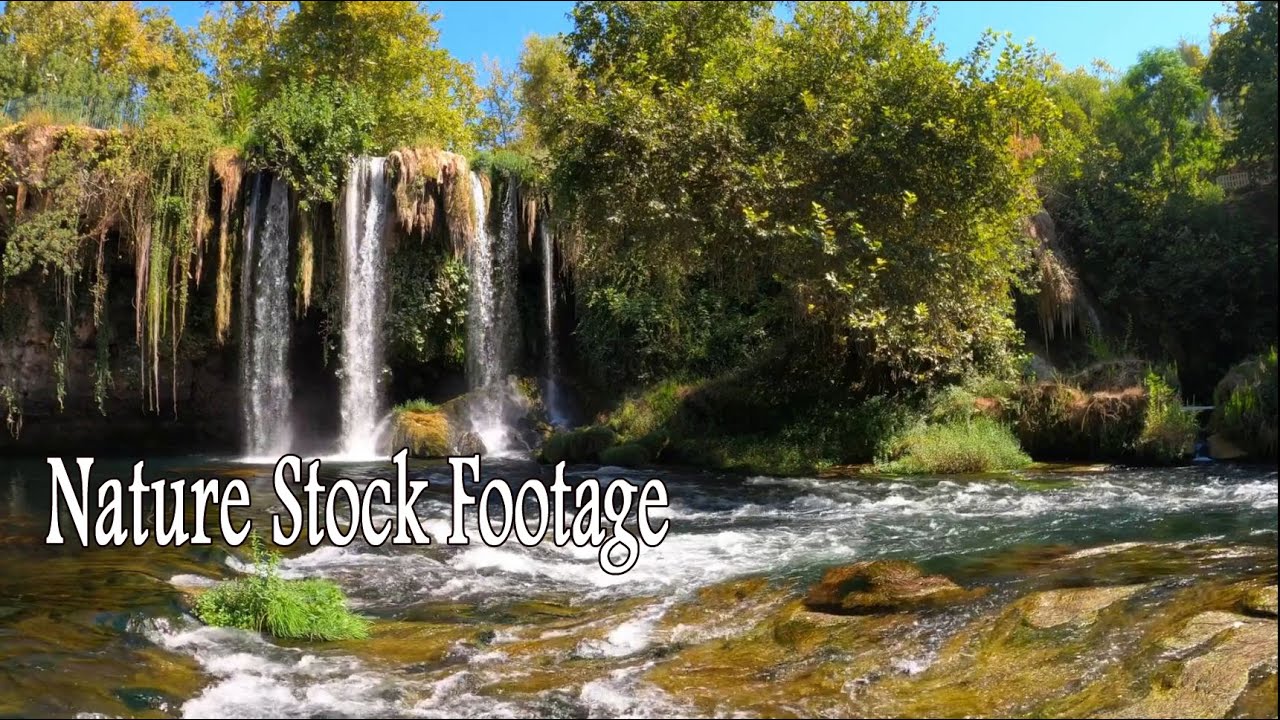 Nature Stock Footage YouTube