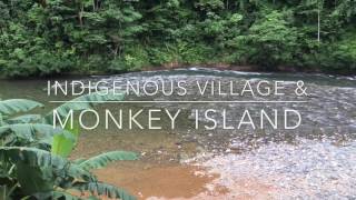 Monkey Island Panama Jungle