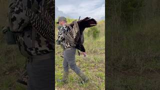 End of Season Hustle… Worth Every Step 🦃🦃 #turkeyhunting