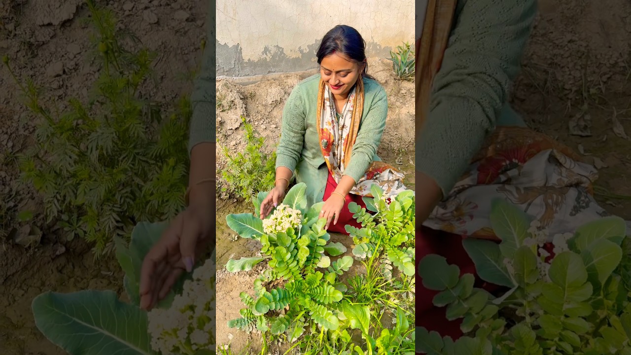 Winters❄️ vegetables🥕 