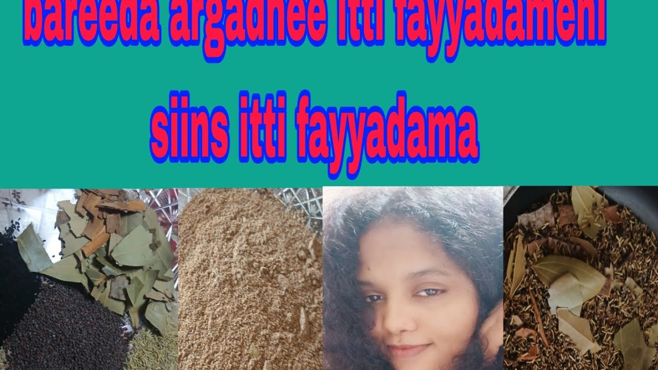 Akkata Zatii Mattaa keenyaa itti hojetane  Karaa Salphaa ta eeni dhereefachuu dandeenyuu 