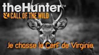 theHunter COW - Je chasse le Cerf de Virginie | Ps4 Fr screenshot 5